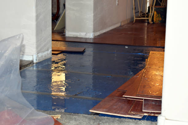 Professional Basement Flood Cleanup technician working in Townsend, MA